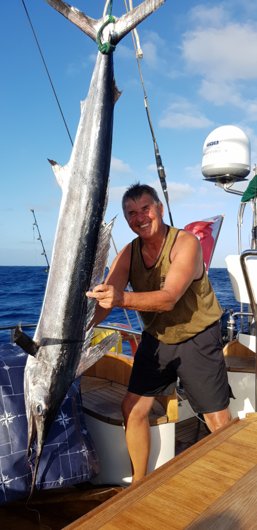 rekordowy marlin w drodze na karaiby 2019 525x1080